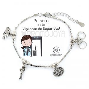 Vigilante De Seguridad