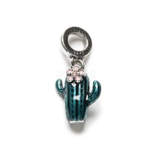 Charm Cactus